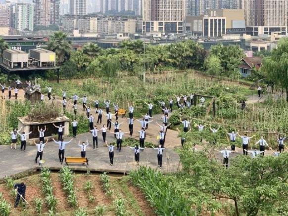 k8凯发(中国)天生赢家·一触即发_项目6351